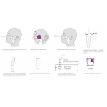 Obrázek z Singclean / Výtěrový rychlotest antigenní na COVID-19 koronavirus 