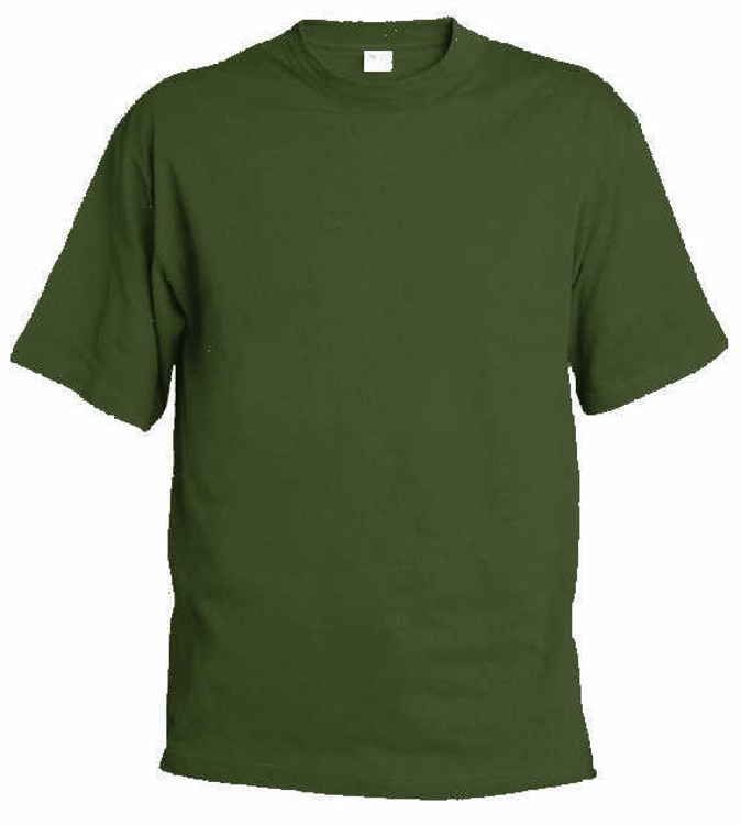 Obrázek z Pánské tričko T9 olivová 