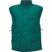 Obrázek z Cerva BEAVER Pracovní vesta zimní zelená 
