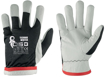 Obrázek z CXS TECHNIK WINTER Pracovní kombinované rukavice zimní - 120 párů 
