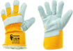 Obrázek z CXS DINGO WINTER Pracovní kombinované rukavice zimní 