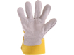 Obrázek z CXS DINGO A Pracovní kombinované rukavice - 60 párů 