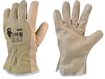 Obrázek z CXS ASTAR Pracovní kožené rukavice - 120 párů 