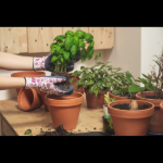 Obrázek z Cerva PINTAIL Pracovní rukavice hnědá/zelená 