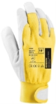 Obrázek z ARDON®HOBBY Pracovní rukavice 12 párů 