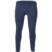 Obrázek z Cerva LION Pánské spodky dlouhé navy 