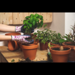 Obrázek z Cerva PINTAIL Pracovní rukavice navy/fialová 12 párů 