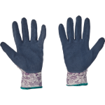 Obrázek z Cerva PINTAIL Pracovní rukavice navy/fialová 12 párů 