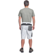 Obrázek z Cerva CREMORNE Pracovní šortky bílá / šedá 