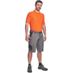 Obrázek z Cerva CREMORNE Pracovní šortky šedá / černá 