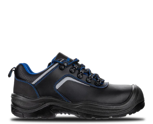 Obrázek z RAPTOR S3 NM Low 