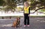 Obrázek z Korntex FUN Dětská bezpečnostní vesta hi vis yellow/​dog 
